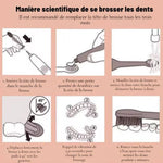 Charger l'image dans la galerie, Brosse à dents sonique électrique pour enfants et adultes, avec 4 têtes de brosse à poils doux, et 6 modes de nettoyage, blanchisseur en douceur
